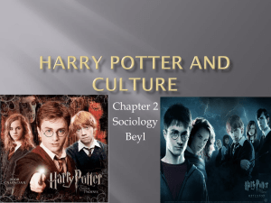 Harry Potter and Culture