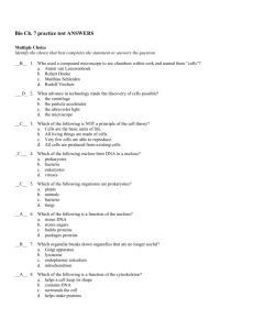 Bio Ch. 7 practice test ANSWERS