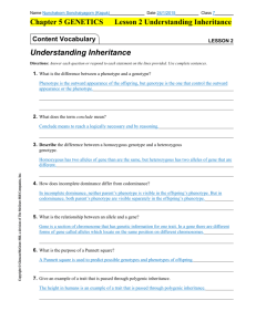 Lesson 2 | Understanding Inheritance - Kapuk`s E