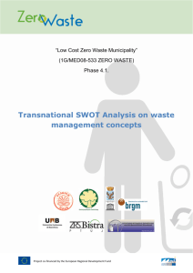 SWOT Analysis - zero waste project
