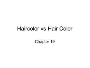 Haircolor vs Hair Color