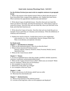 Study Guide: Anatomy/Physiology Finals – Fall 2015 For the Written