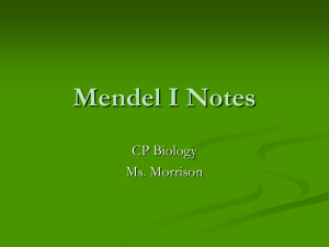 Mendel's Pea Plant Experiments