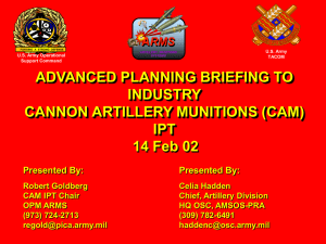 ADVANCED PLANNING BRIEFING TO INDUSTRY CANNON ARTILLERY MUNITIONS (CAM) IPT
