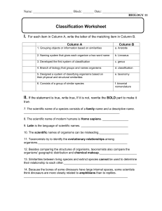 Classification Worksheet