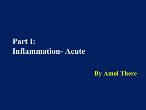 Inflammation Acute and chronic PowerPoint Presentation (1)