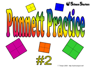 Punnett2 - Copy