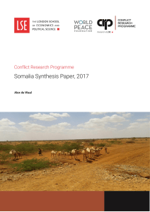  somalia synthesis paper published