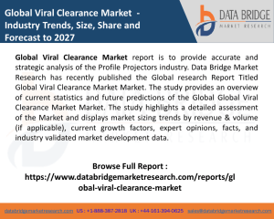 Viral Clearance Market